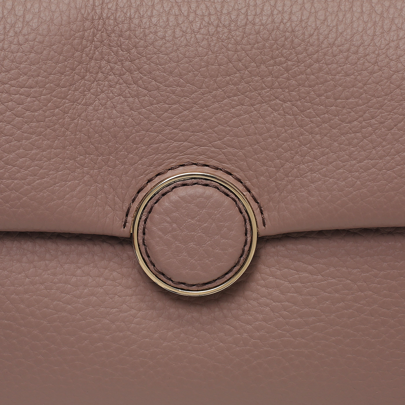 Кожаная сумка Carlo Salvatelli Double